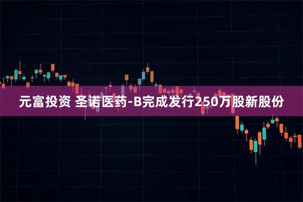 元富投资 圣诺医药-B完成发行250万股新股份