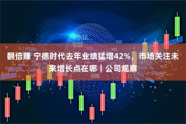 翻倍赚 宁德时代去年业绩猛增42%，市场关注未来增长点在哪｜公司观察
