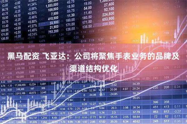 黑马配资 飞亚达：公司将聚焦手表业务的品牌及渠道结构优化
