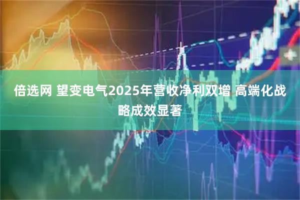 倍选网 望变电气2025年营收净利双增 高端化战略成效显著