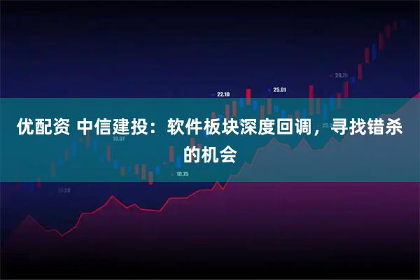 优配资 中信建投：软件板块深度回调，寻找错杀的机会