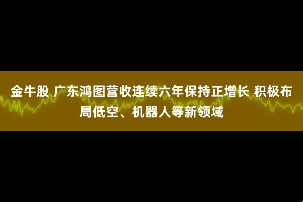 金牛股 广东鸿图营收连续六年保持正增长 积极布局低空、机器人等新领域