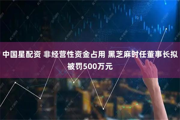 中国星配资 非经营性资金占用 黑芝麻时任董事长拟被罚500万元