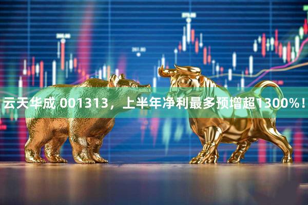 云天华成 001313，上半年净利最多预增超1300%！