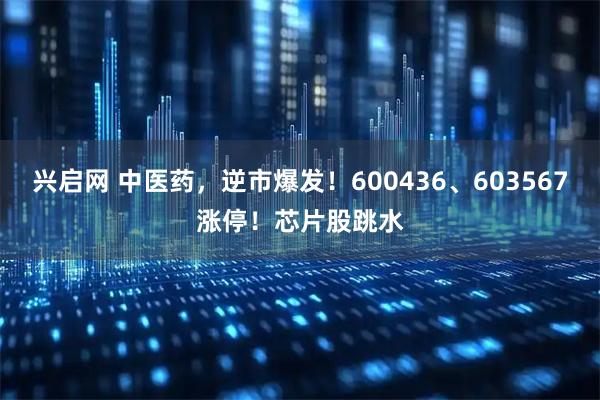 兴启网 中医药，逆市爆发！600436、603567涨停！芯片股跳水