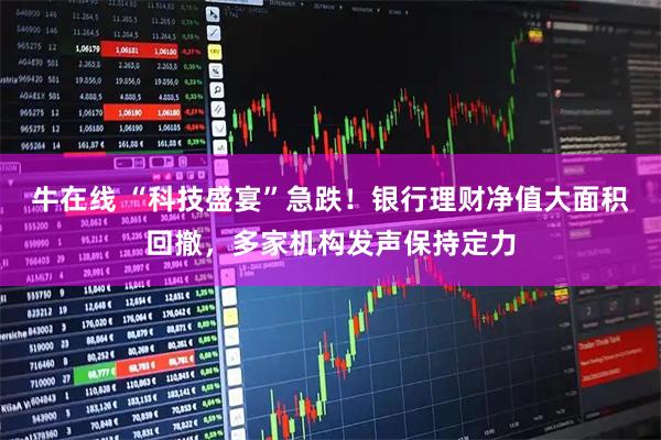 牛在线 “科技盛宴”急跌！银行理财净值大面积回撤，多家机构发声保持定力