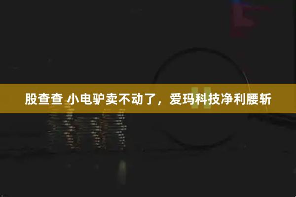 股查查 小电驴卖不动了,爱玛科技净利腰斩